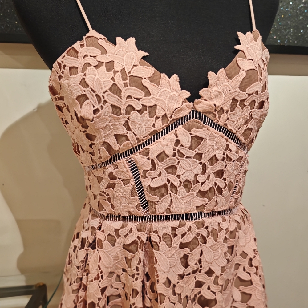 Self-Portrait Blush Pink Lace Midi Dress - Picture 10 of 16